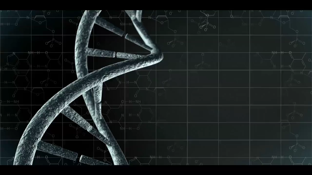 Educational Video